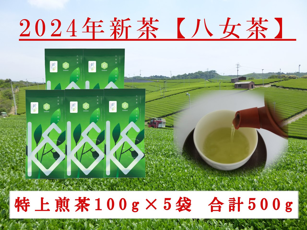 2024年新茶予約】八女茶 特上煎茶100g×5袋【2024年5月上旬発送予定