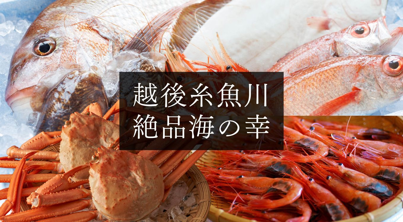 カニ、エビ、のどぐろ 糸魚川の美味しい魚介をご紹介！