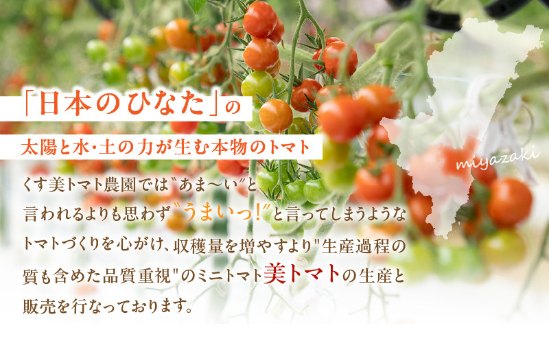 美トマト3種バラエティーセット_M317-001