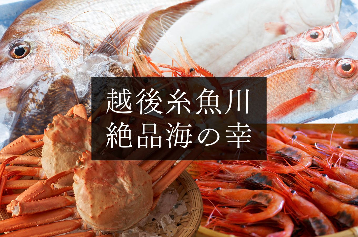 お米だけじゃない！ 絶品日本海の幸をご紹介