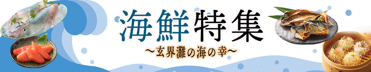 唐津 一の塩 1kg×2袋 (しっとりタイプ) 調味料 料理 しお ソルト