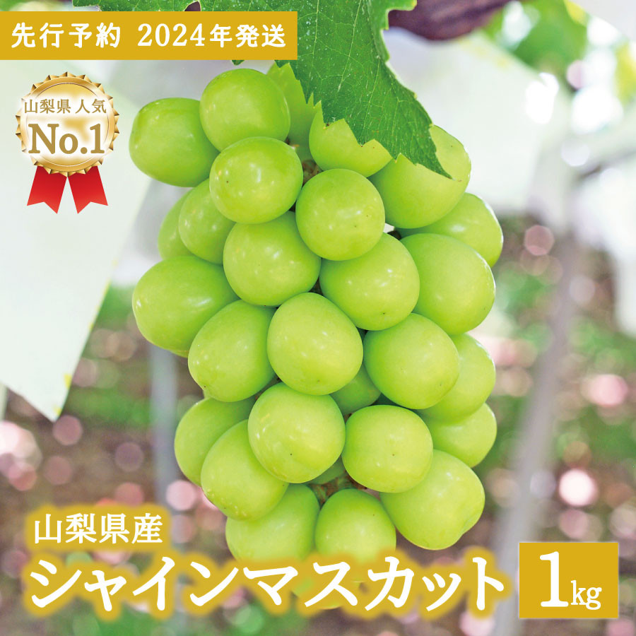 ふるさと納税 甲州屋厳選 勝沼産デラウエア葡萄 約1.2kg B-115 山梨県