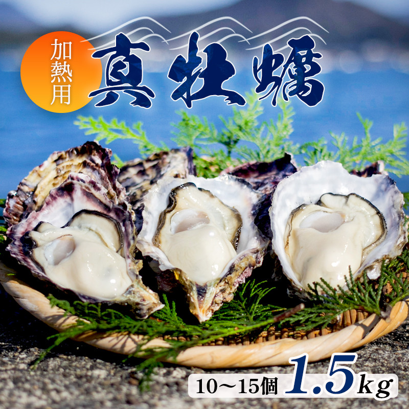 牡蠣 殻付き 1.5kg 前後 10個 ～ 15個 マガキ 加熱用 真牡蠣 詰合せ