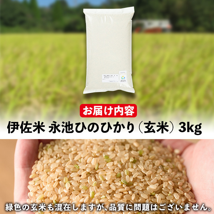 ふるさと納税 isa200 令和5年産 特別栽培米 永池ひのひかり玄米(25kg