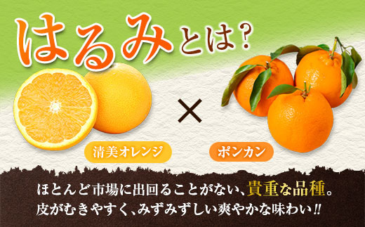 訳あり 数量限定 はるみ 計4kg以上 フルーツ 果物 柑橘 みかん 国産 弓削ファーム 食品 デザート 送料無料_D78-23