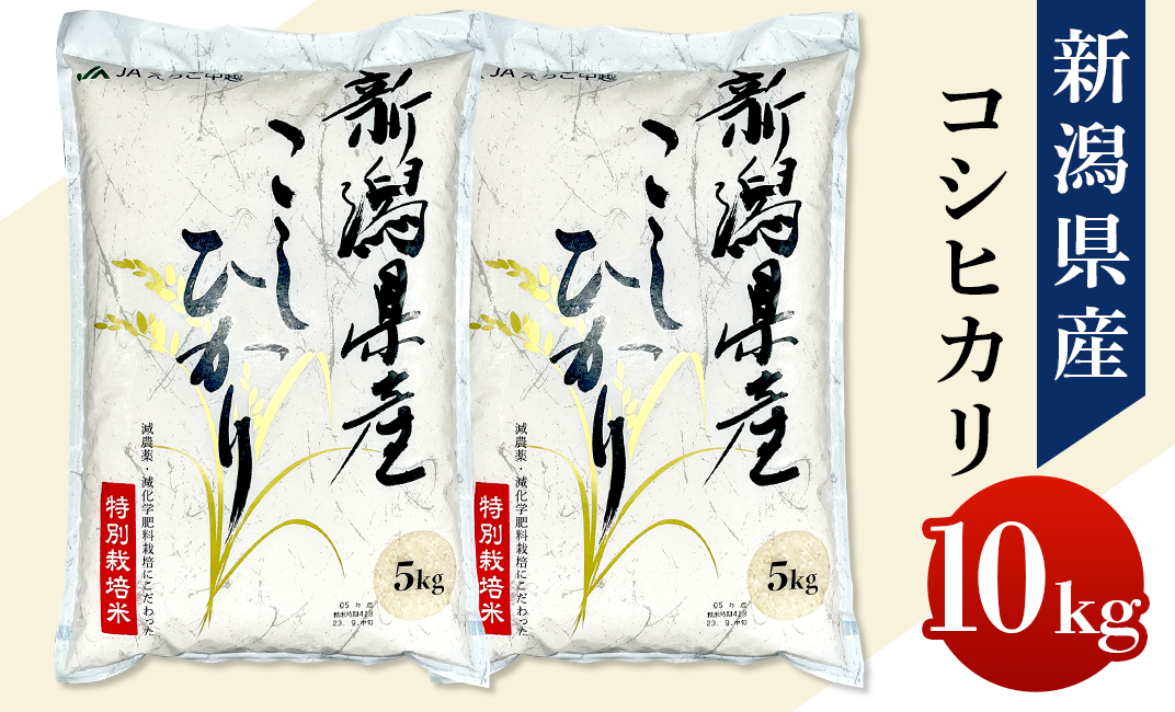 75-3N101新潟県長岡産特別栽培米コシヒカリ10kg（5kg×2） - 新潟県長岡