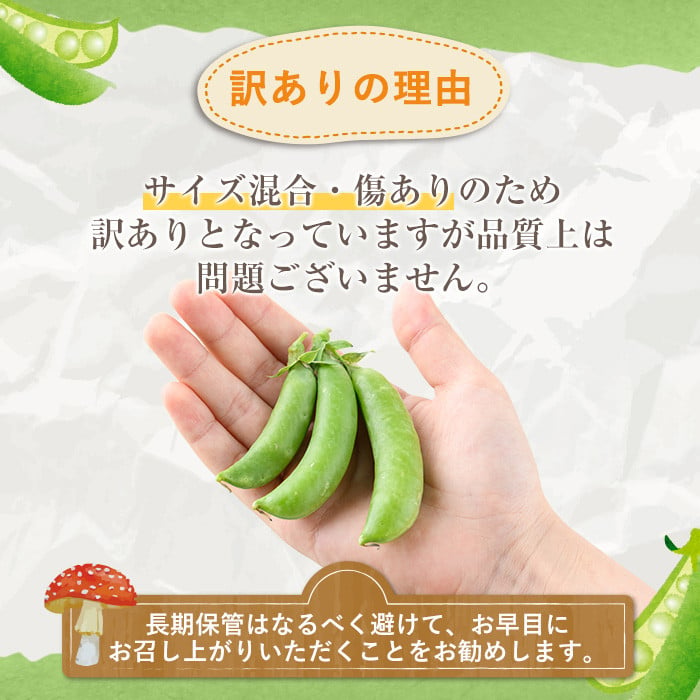 訳あり＞鹿児島県産 スナップエンドウ(約2.5kg) 国産 野菜 スナップ