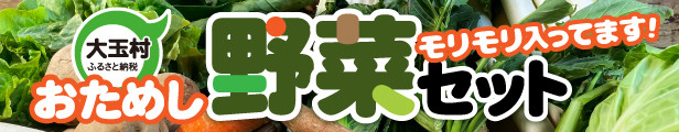 大玉村産野菜セットが人気です！
