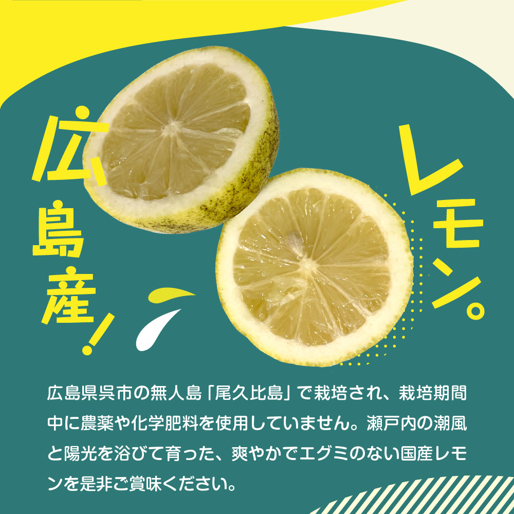 訳あり】希少な国産オーガニックレモン4.0kg【栽培期間中農薬不使用 ...