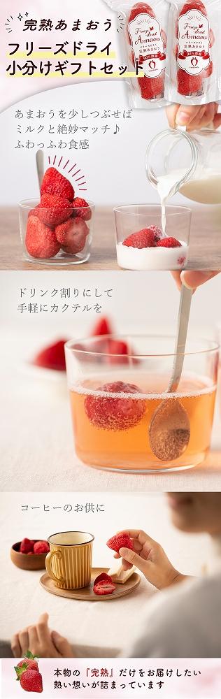 形も味もそのまま楽しめる！完熟あまおう【フリーズドライギフトセット