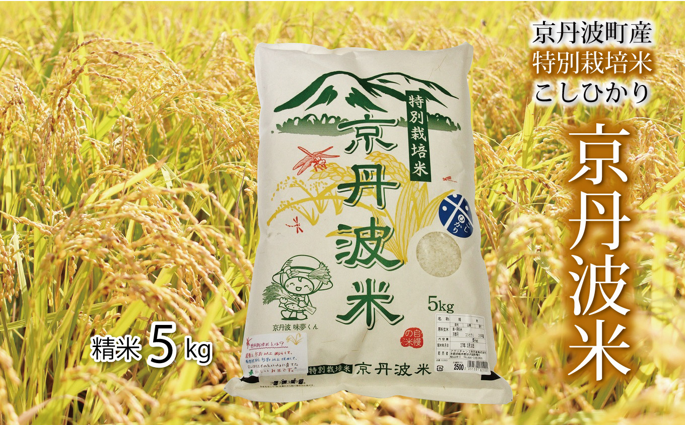 特別栽培米こしひかり令和5年度産をお届けします。