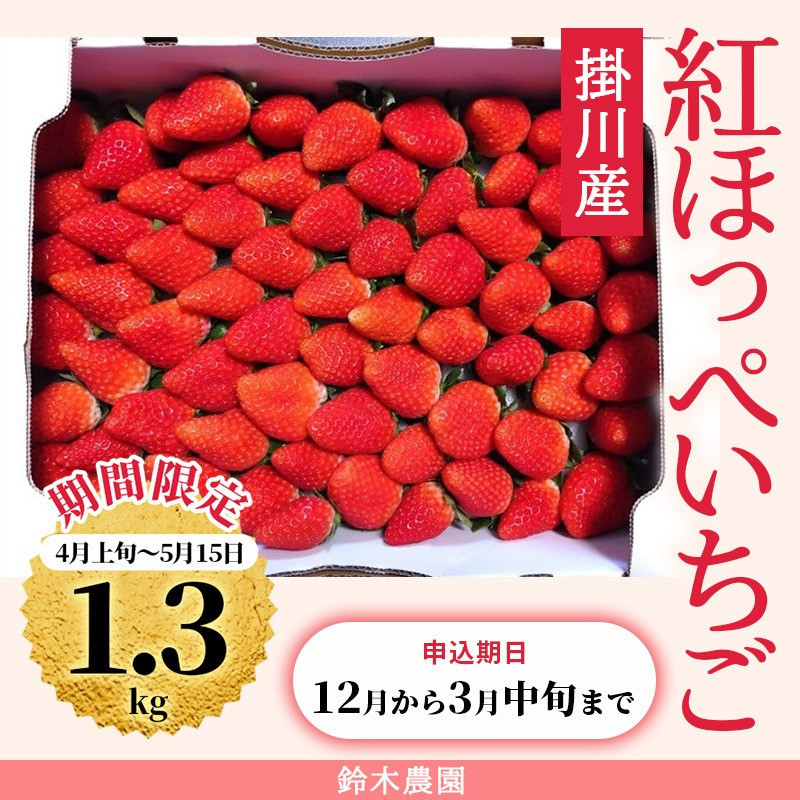 １９５０　いちご 紅ほっぺ 1.3ｋｇ 着日指定可 静岡県掛川産（5パック分置き並べ） 4月初旬～5月15日迄 鈴木農園