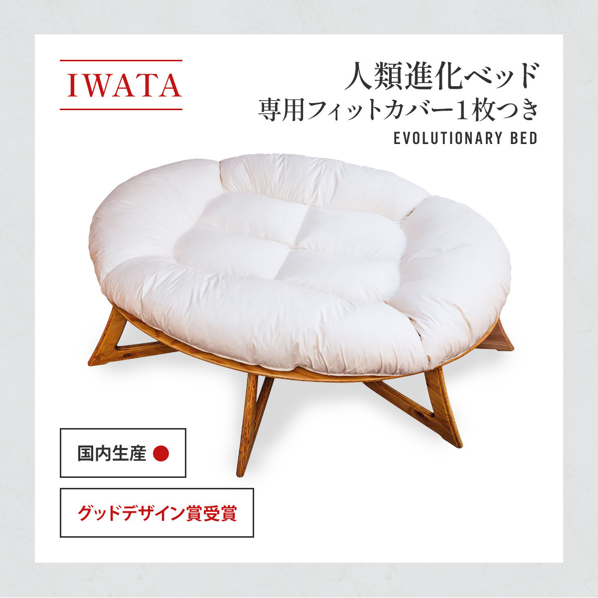 IWATA　人類進化ベッド　（専用フィットカバー１枚つき）　AA041