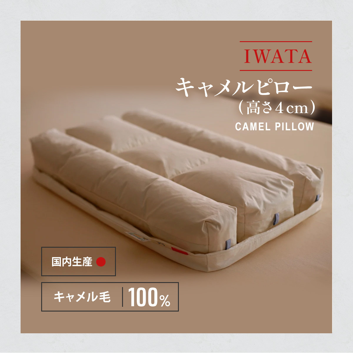 イワタのキャメル枕【高さ３．０ｃｍ】｜IWATA キャメルピロー - 布団 