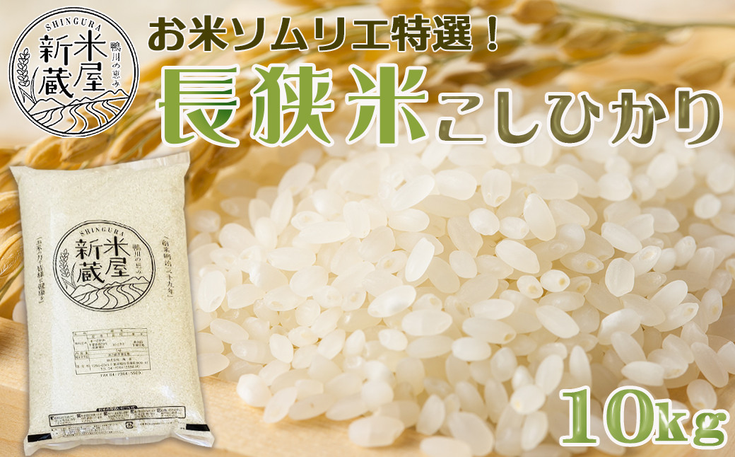 D玄米／精米／安心安全／お米／コシヒカリ／安い／１０キロ - 米・雑穀
