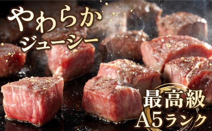 全3回定期便】佐賀牛 A5 ヒレ サイコロステーキ 500g ( 250g×2パック )【山下牛舎】 [HAD072]牛肉 ヒレステーキ 希少部位 フィレ  フィレステーキ A5 黒毛和牛 佐賀 ギフト - 佐賀県江北町｜ふるさとチョイス - ふるさと納税サイト