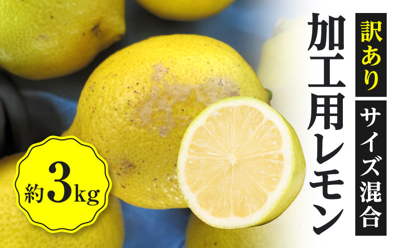 訳あり 加工用 レモン (サイズ混合) 3kg【11月下旬～4月上旬】