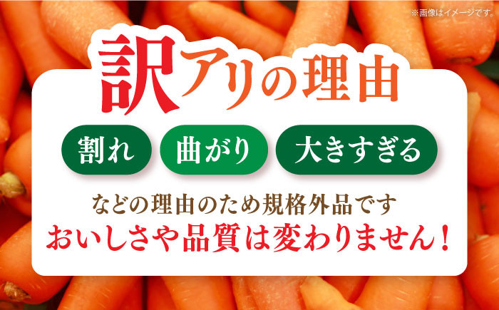 ★4月末まで★【訳あり】宮崎さんのフルーツ人参10kg 長崎県/株式会社まるまさ [42ALAB002]フルーツ 人参 ニンジン にんじん キャロット  長崎 島原 野菜 ジュース スムージー 甘い 訳アリ