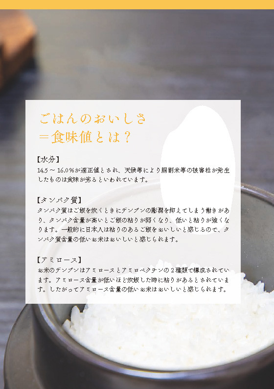 令和5年度新米！先行予約】志賀高原の麓で育った 山ノ内町産コシヒカリ