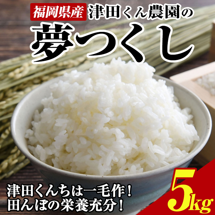 つくし 約250g～300g