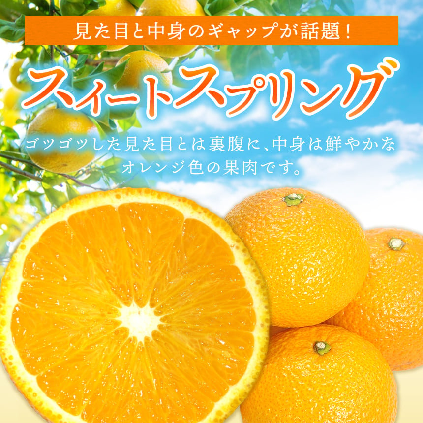 かめまる食堂 』 熊本県産 ご家庭用 スイートスプリング 約 5kg | 果物 くだもの フルーツ 柑橘 柑橘類 みかん 訳あり 熊本県 玉名市 -  熊本県玉名市｜ふるさとチョイス - ふるさと納税サイト