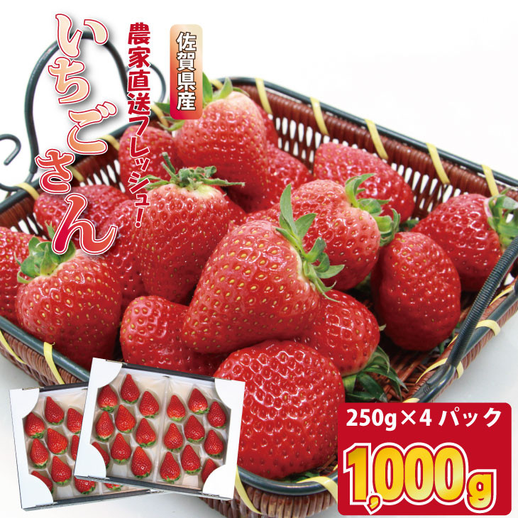 佐賀ブランド苺「いちごさん」合計1,000g（250g×4セット）凛々 イチゴ