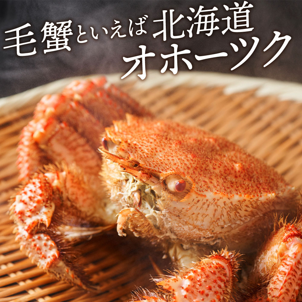 ☆北海道産 毛ガニ 約550g×2尾 セット かに 蟹 毛蟹 冷凍 北海道産 浜頓別町 - 北海道浜頓別町｜ふるさとチョイス - ふるさと納税サイト