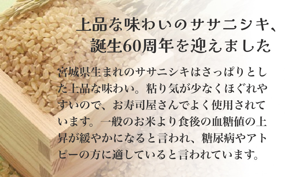 令和6年度産 ササニシキ玄米30kg お米 米 ごはん ご飯 飯 一等玄米 単一銘柄米 主食 美味しい - 宮城県石巻市｜ふるさとチョイス -  ふるさと納税サイト