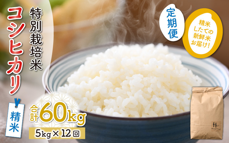 令和5年産】《定期便12回》特別栽培米 精米 コシヒカリ 5kg（計60kg