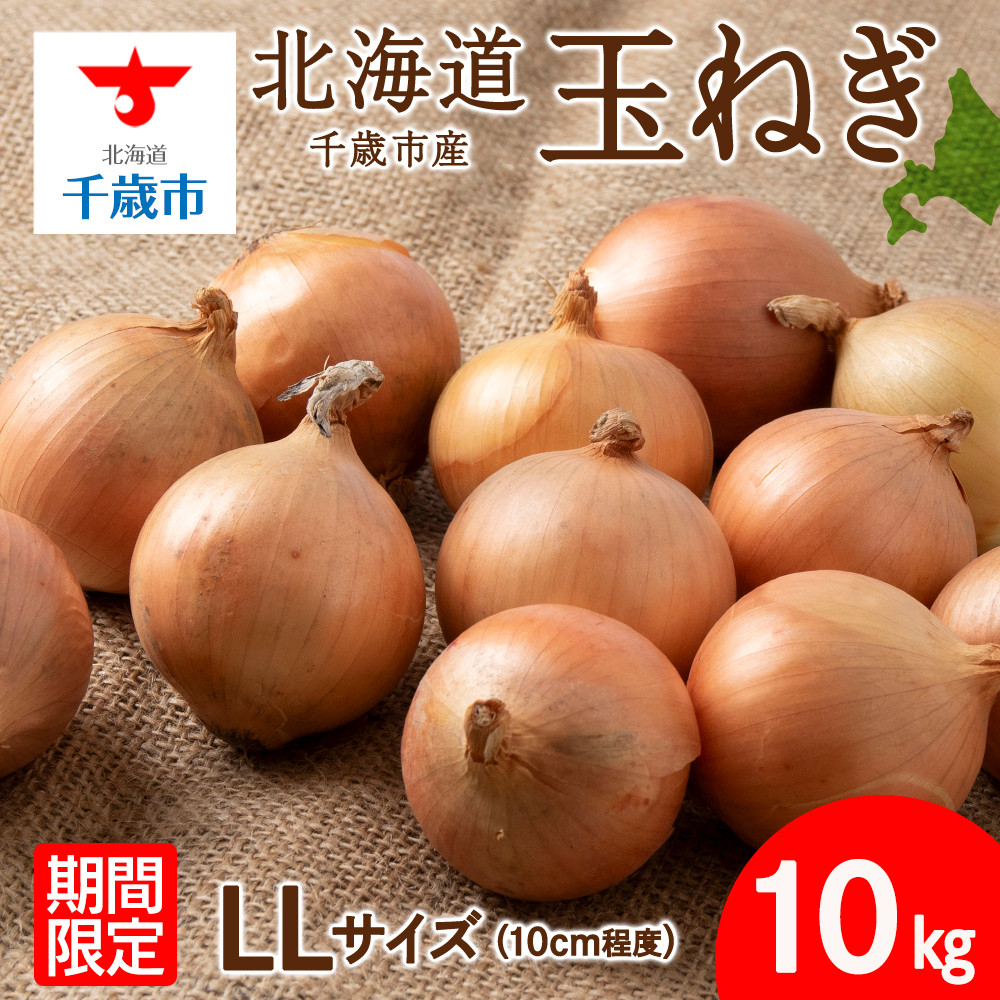 和歌山産 お徳用あんぽ柿 単品③ 9～10個入 330g - 果物