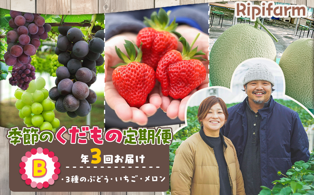 Ripifarm 季節のくだもの定期便B（ぶどう・メロン・いちご） - 新潟県