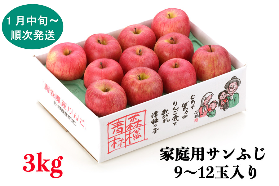 家庭用りんご サンふじ 3kg (9～12玉入り 3kg 1箱) ～見た目にわけあり