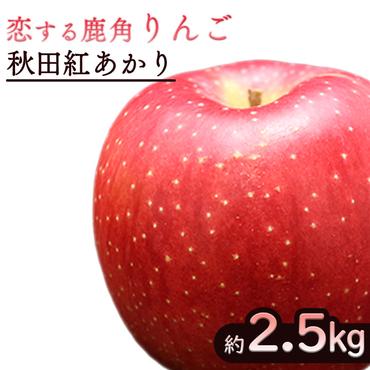 《先行予約》令和6年産 秋田県鹿角産りんご「秋田紅あかり」 約2.5kg【恋する鹿角カンパニー】●2024年11月中旬発送開始　かづのりんご 食感  果汁 さっぱり リンゴ 完熟 旬 県産りんご 林檎 お中元 お歳暮 贈り物 お見舞い グルメ ギフト 故郷 秋田 あきた 鹿角市 鹿角