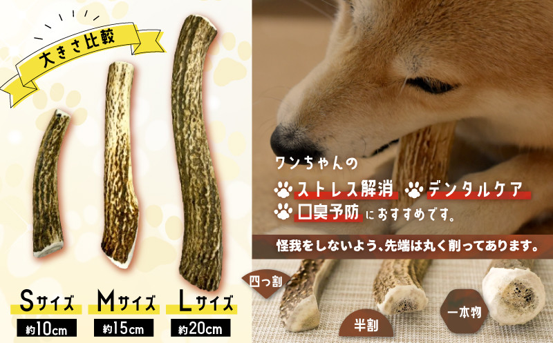 犬用「鹿の角(四つ割り)」Ｍサイズ×1本[53-1354] - 北海道浦河町