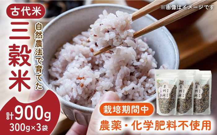 赤米・緑米ミックス各500ｇ食べ比べ玄米セット 無農薬米 - 米