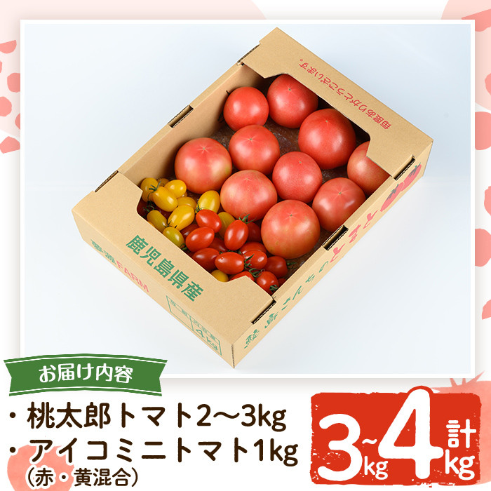 農家直送 アイコ 1kg - 野菜