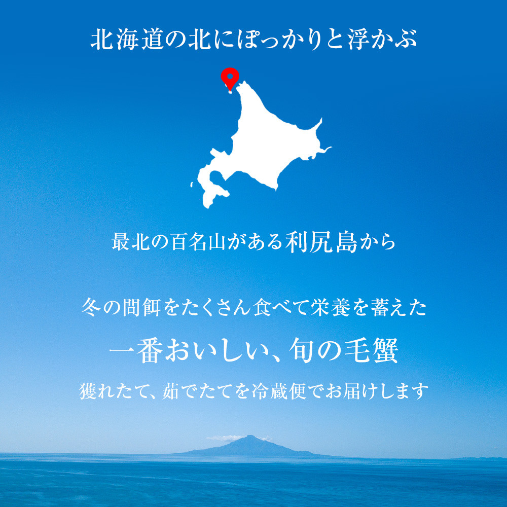 2026年発送予約】チルドでお届け! 浜茹で毛ガニ中サイズ2尾 2026年発送予約】チルドでお届け! 浜茹で毛ガニ中サイズ2尾