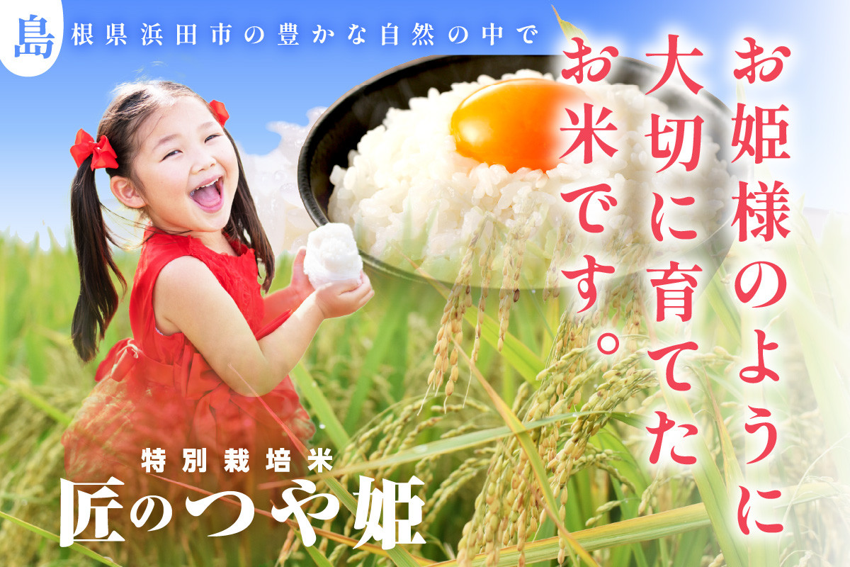 令和5年産】特別栽培米「匠のつや姫」5kg×2袋 米 お米 つや姫 つやひめ