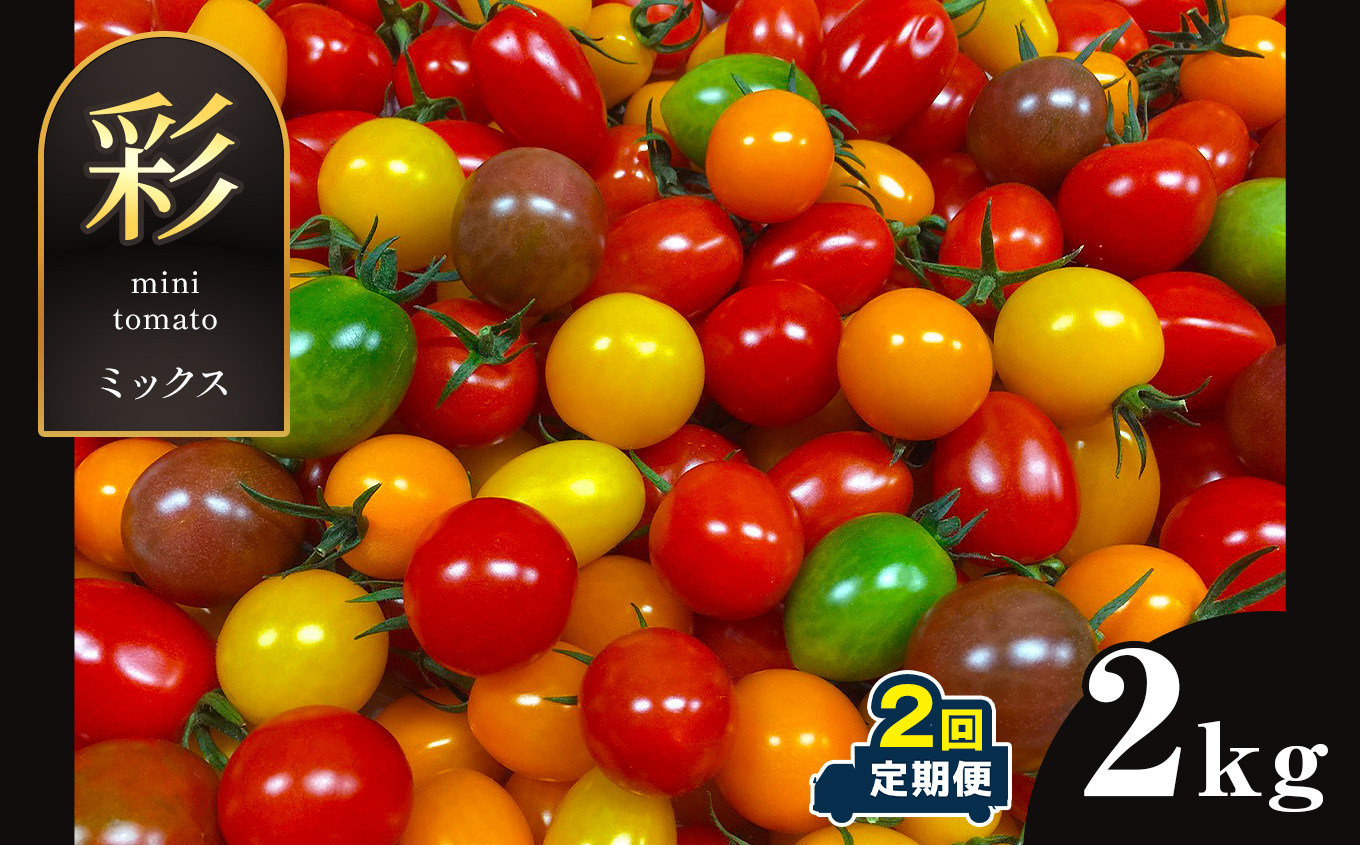 サザキ農園 ミニトマト 彩りセット（ミックス） 2kg×2回 トマト 熊本県