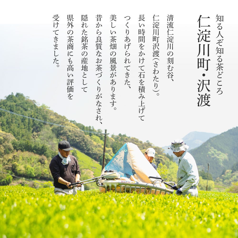 沢渡茶飲み比べセット 沢渡茶50g さわたりほうじ茶80g みず出し緑茶5g×12袋 飲み比べ 茶葉 ティーパック お茶 緑茶 焙じ茶 水だし 水出し  国産 日本茶 銘茶 煎茶 - 高知県芸西村｜ふるさとチョイス - ふるさと納税サイト