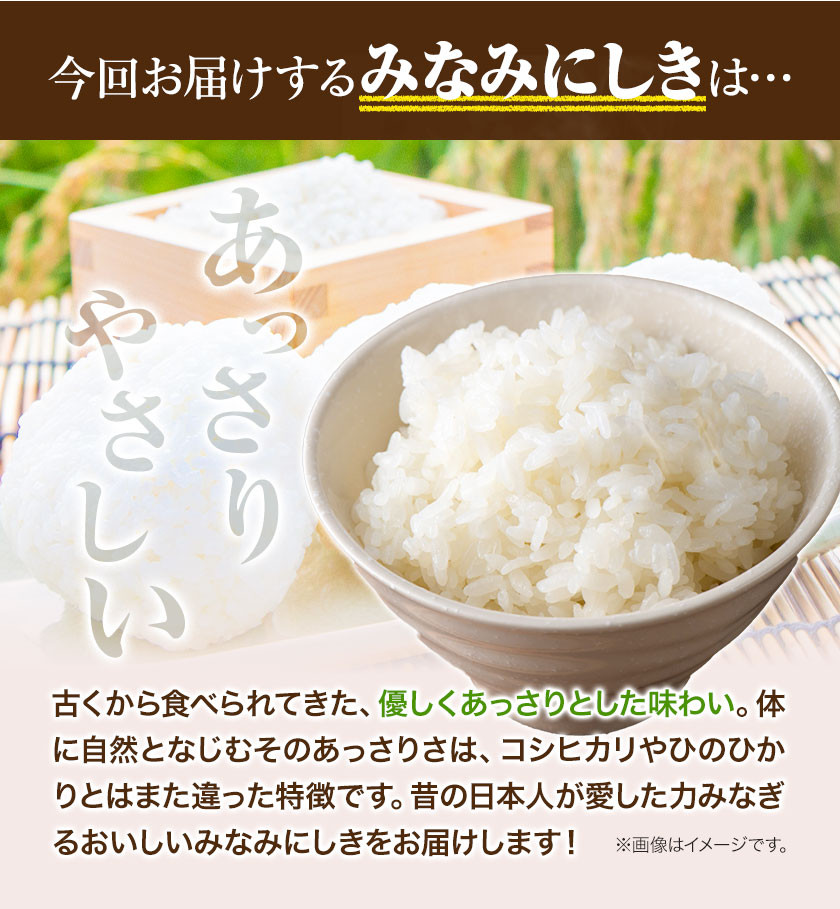 3ヶ月定期便】令和5年産 みなみにしき 玄米20kg 熊本県荒尾市産 つゆ