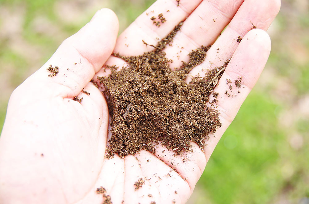 有機肥料による土作り、減農薬で丁寧に栽培