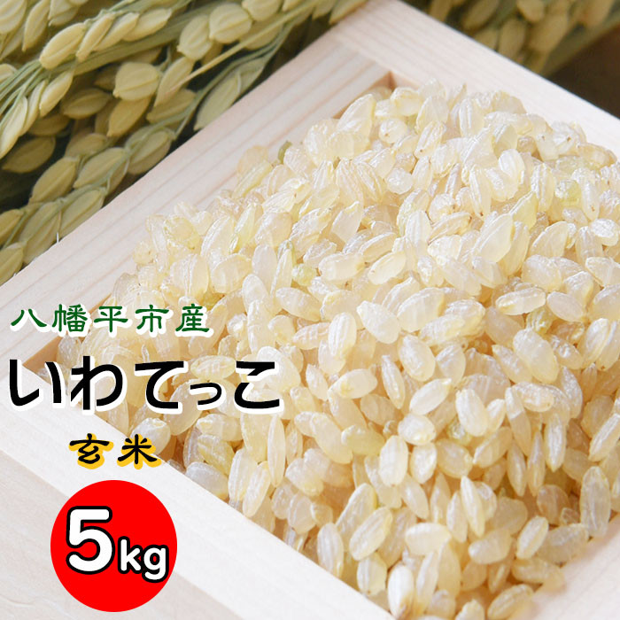 いわてっこ 玄米5kg×1袋【せの畑】 ／ 米 産地直送 農家直送 - 岩手県