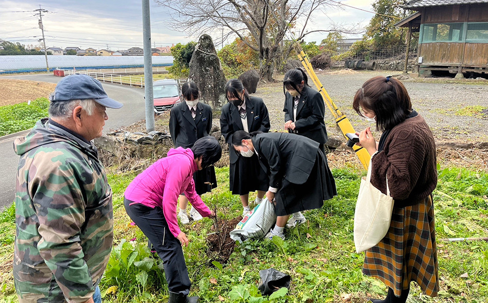 牛津高校生と桜の植樹をしてます。