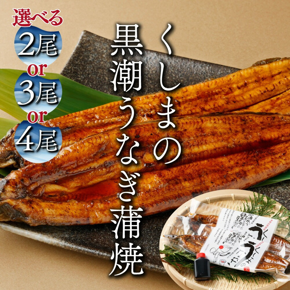 くしまの黒潮うなぎ蒲焼２～４尾　寄付金額24,000円～