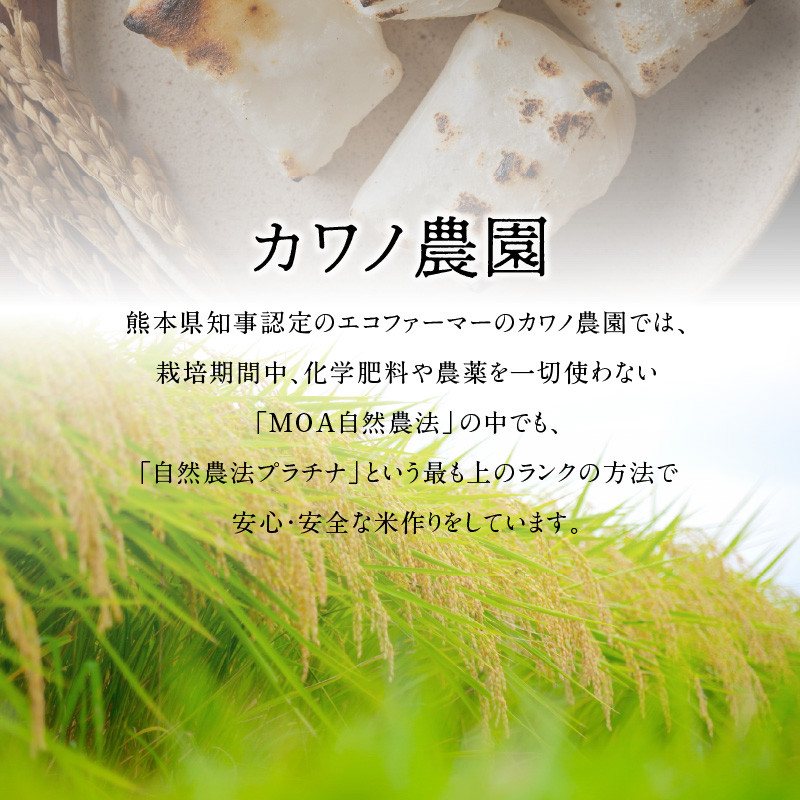 70-85 カワノ農園 令和5年産 自然農法栽培もち米5kg - 熊本県宇土市
