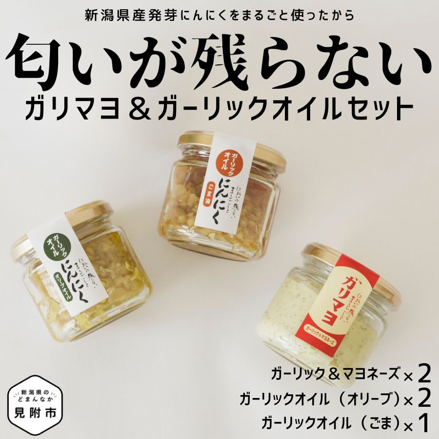 ガリマヨ＆食べるにんにくオイル 食べ比べセット ガリマヨ 2個 食べるにんにくオイル（オリーブオイル） 2個 食べるにんにくオイル（ごま油） 1個  kimataファーム ガーリックオイル にんにく スプラウト 臭わない 唐揚げに合う 新潟県 見附市 - 新潟県見附市｜ふるさと ...