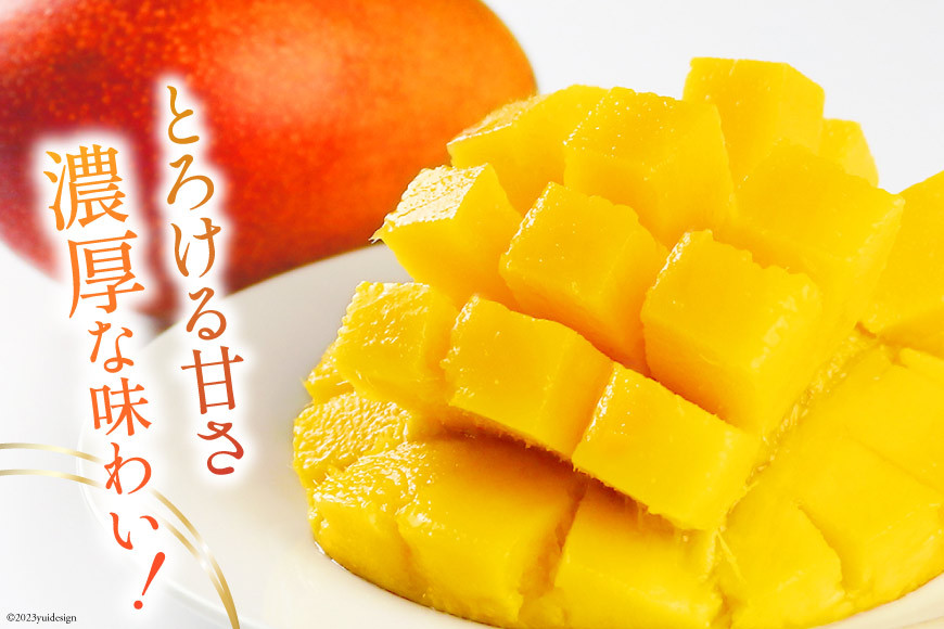 史上最も激安 宮崎県産摘果マンゴー⭐5kg フルーツ・果実 