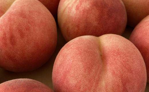 最高峰の桃・あかつきは甘酸適和の優良品種最北の桃です！！