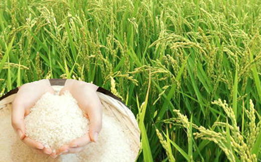 安心安全低農薬米！良食味米！甘みが際立ち濃い味わいと強い粘りが特徴！